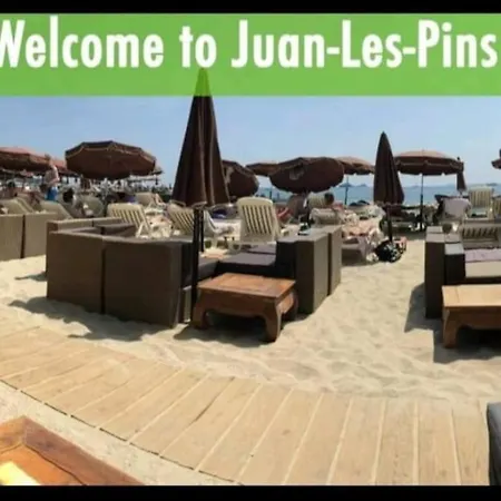 Les Palmiers - Studio Cosy Proche Plages Et Centre