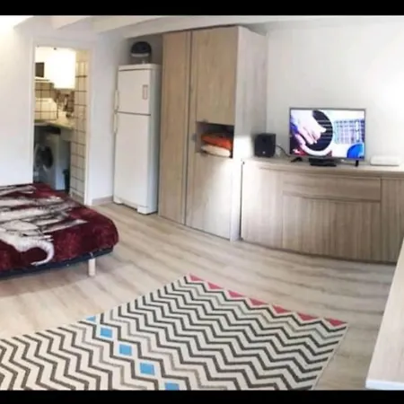 Apartment Les Palmiers - Studio Cosy Proche Plages Et Centre Antibes