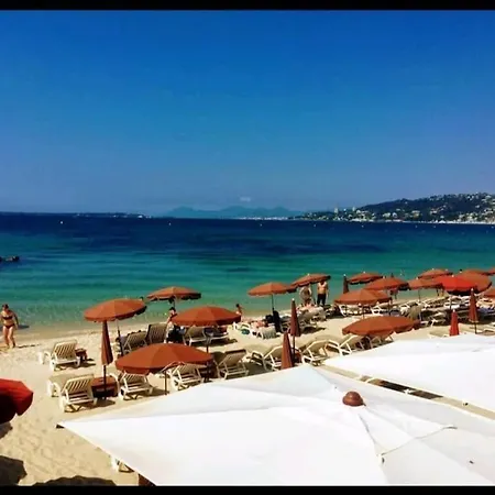 Apartment Les Palmiers - Studio Cosy Proche Plages Et Centre Antibes