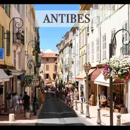 Les Palmiers - Studio Cosy Proche Plages Et Centre Antibes