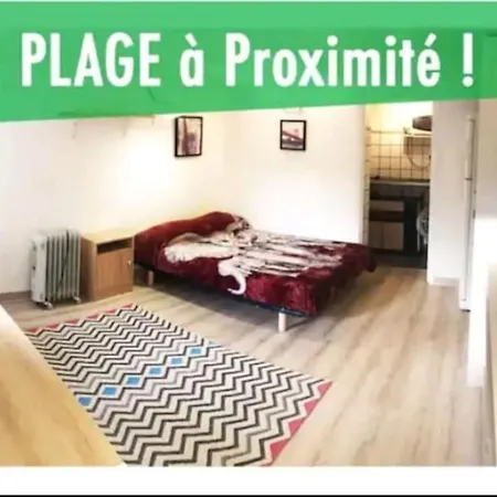 Les Palmiers - Studio Cosy Proche Plages Et Centre *